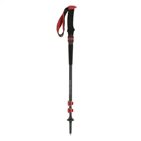 Black Diamond Trail Pro Shock Trekking Poles